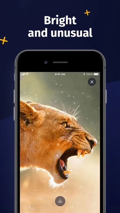 Live wallpaper - Moving Themes Screenshots