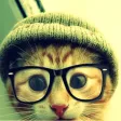 Top Funny Pics!