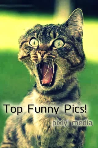 Zrzuty ekranu Top Funny Pics!