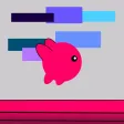 Bicolor Runner