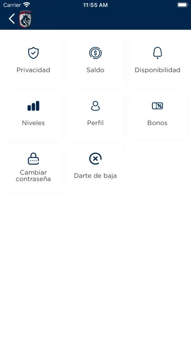 CD Amador Screenshots
