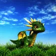 Dragen
