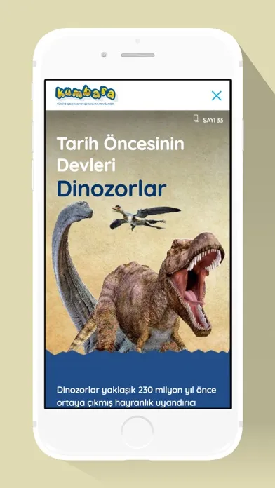 Kumbara Dergisi Screenshots