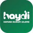 HAYDİ