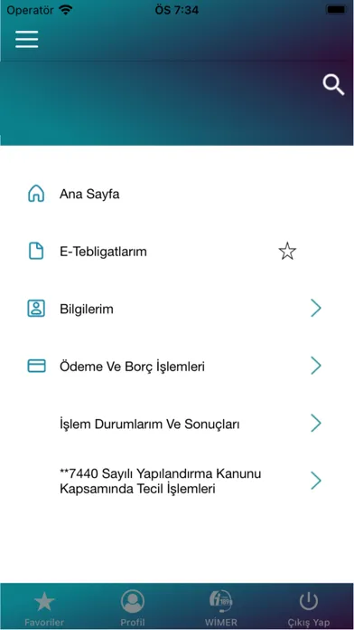 Capturas de pantalla de GİB