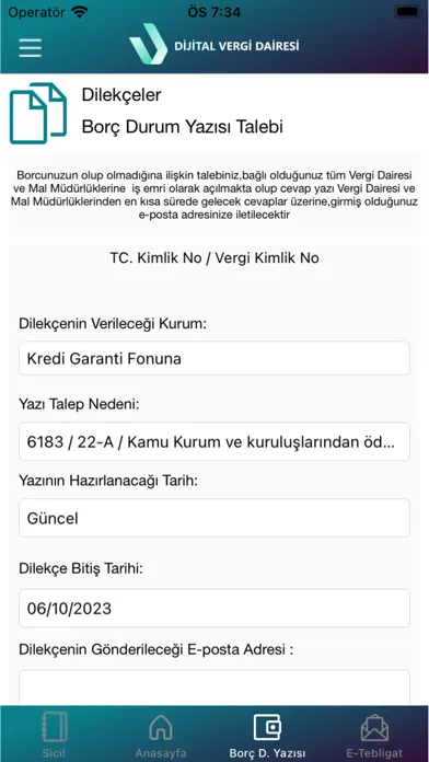Capturas de pantalla de GİB