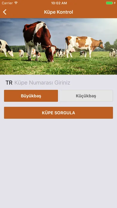 İBB Kurban سکرین شاٹس