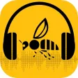Radyo ARI