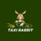 Taxi Rabbit Conductor