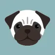 Pug Life HD - PawPapers