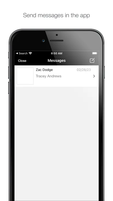 ZDT: Online Screenshots