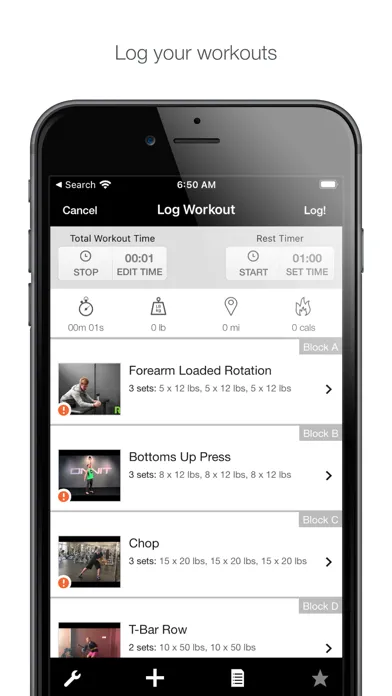 ZDT: Online Screenshots