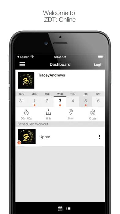 ZDT: Online Screenshots