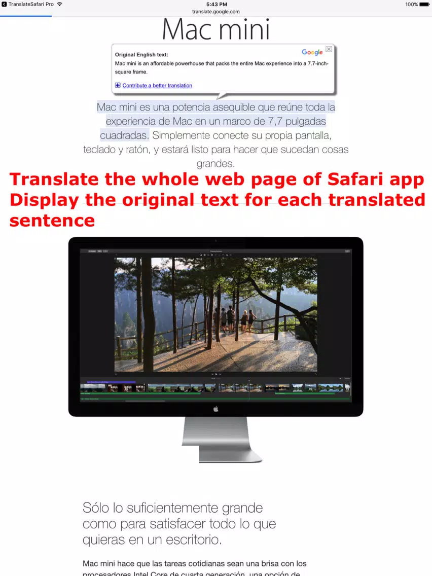 Tangkapan layar Translate Pro for Safari iPad 