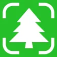 Tree Identifier: Wood & Leaf ‎