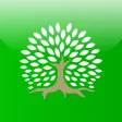 Forest Tree Diseases Forest Tree Diseases