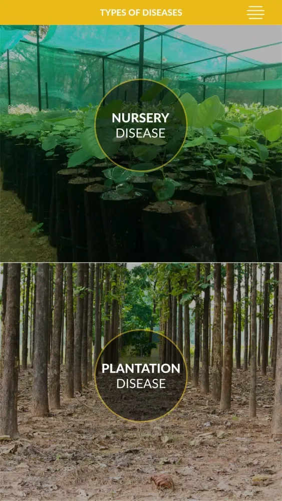 Zrzuty ekranu Forest Tree Diseases