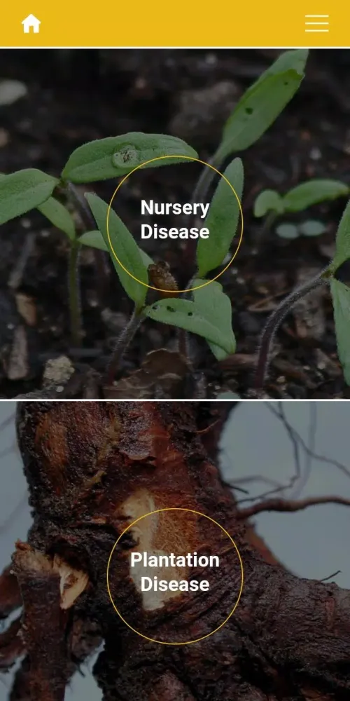 Zrzuty ekranu Forest Tree Diseases
