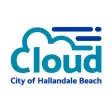 Hallandale Beach Minibus