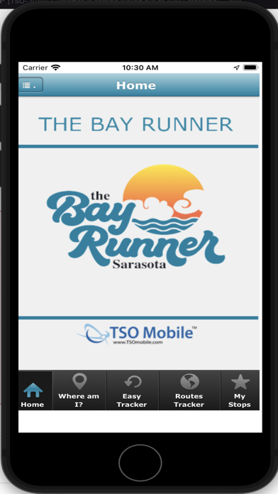 Screenshot di The Bay Runner