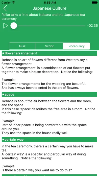 Ảnh chụp màn hình của Natural English