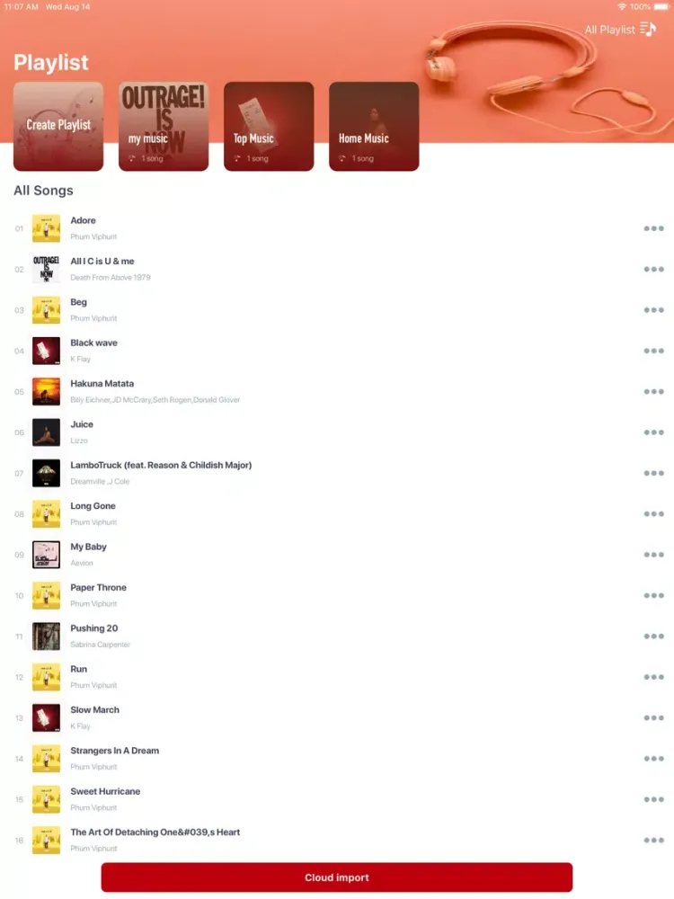 Offline Music - Unlimited Musi iPad 应用截图