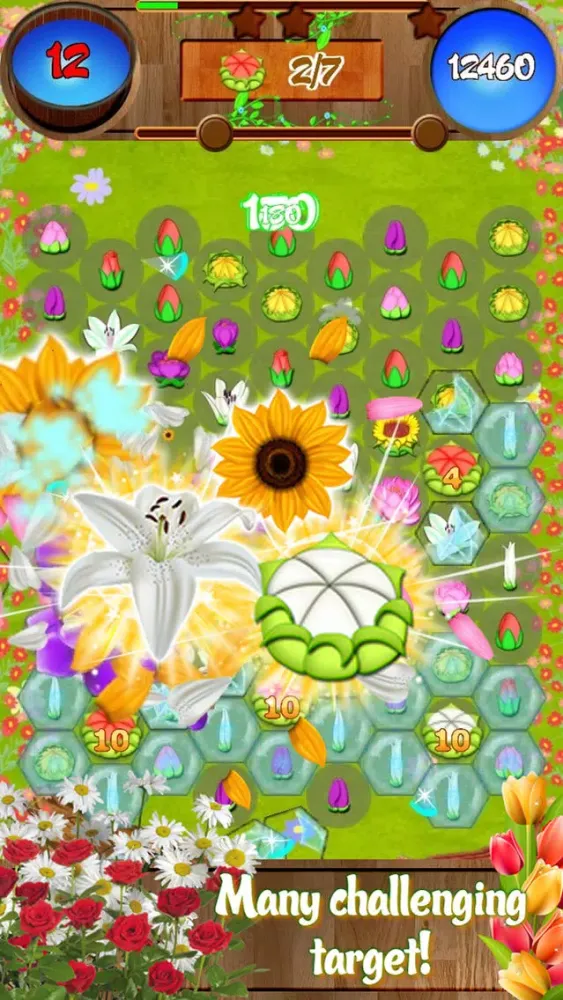 Capturas de tela do Flower Forest Blast