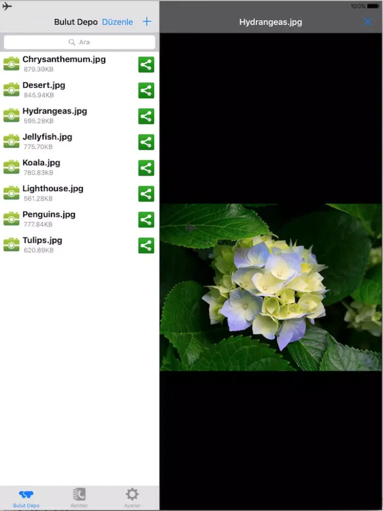 Zrzuty ekranu BuluTT Depo iPad 