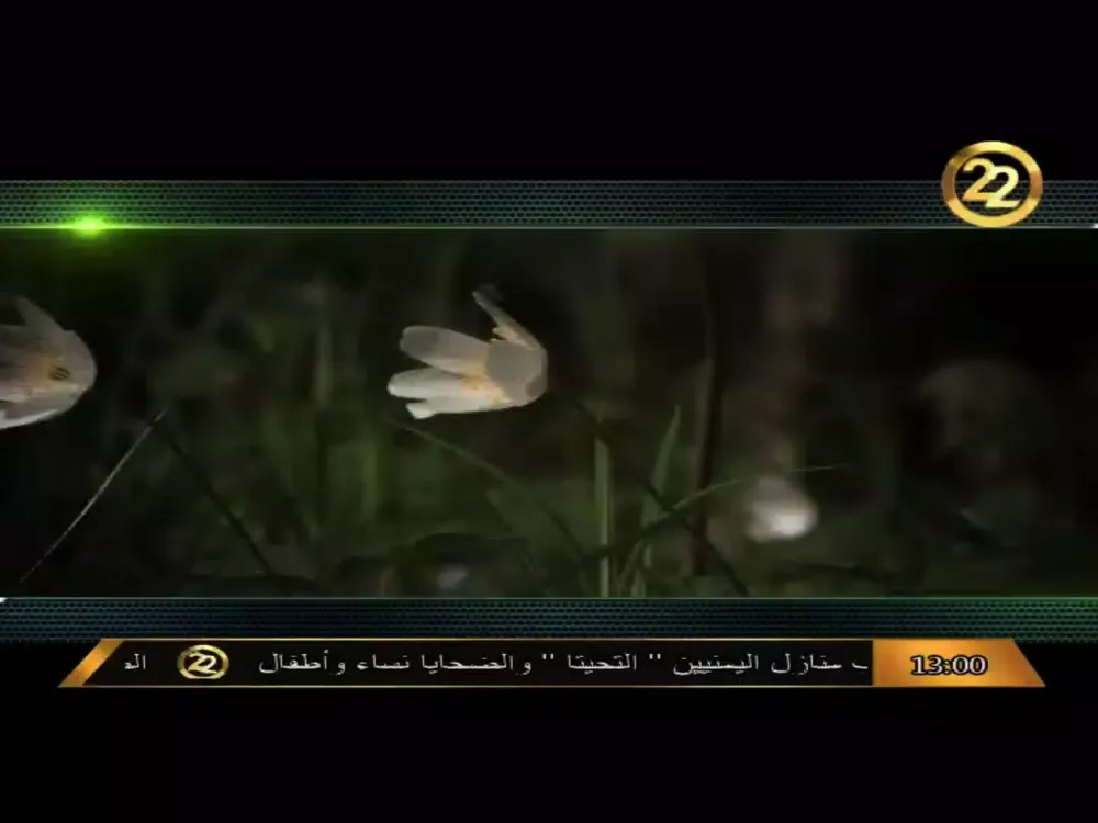 22 TV iPad  Screenshots