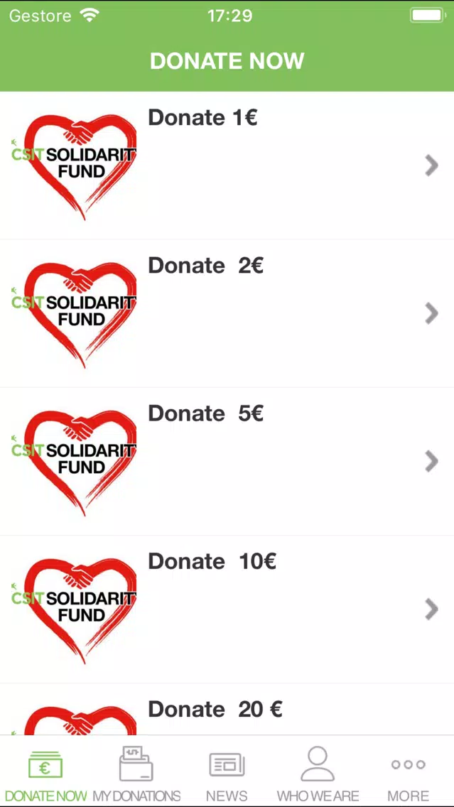 CSIT SOLIDARITY FUND 스크린샷