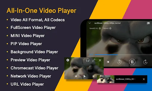 Captures d'écran de Video Player All Format
