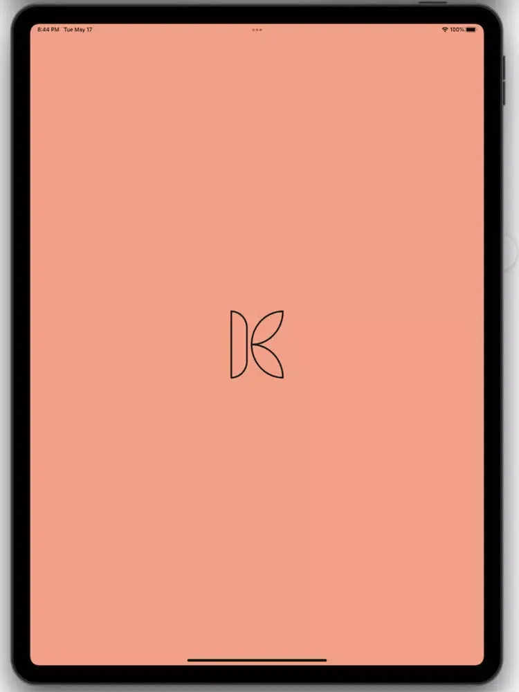 Kuula Camera iPad 应用截图