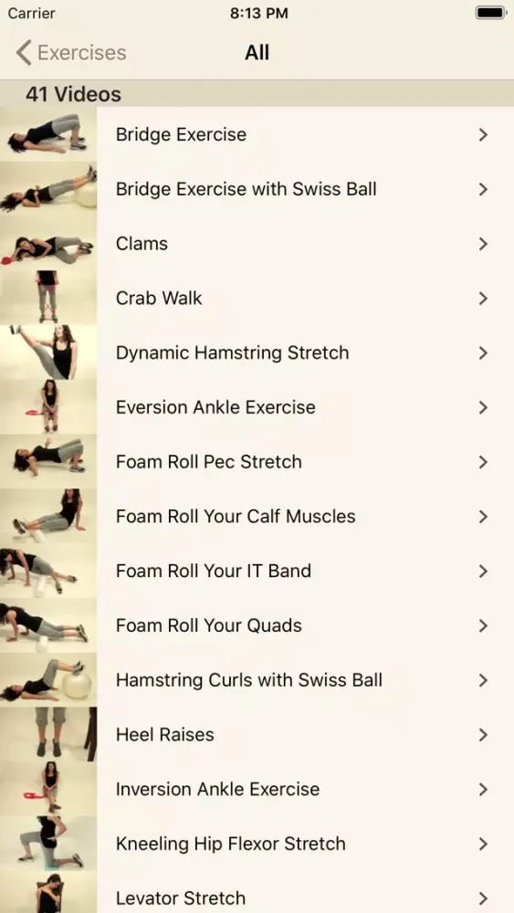 Pain Therapy: Exercise Videos應用截圖