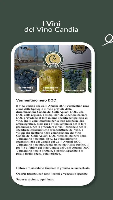 Captures d'écran de BevoCandia