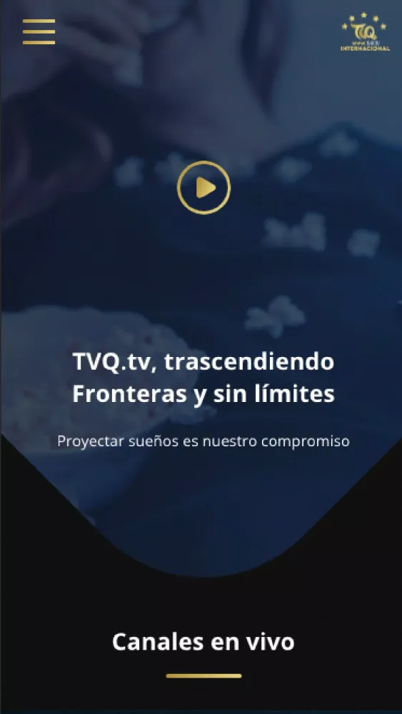 Скриншоты TVQ