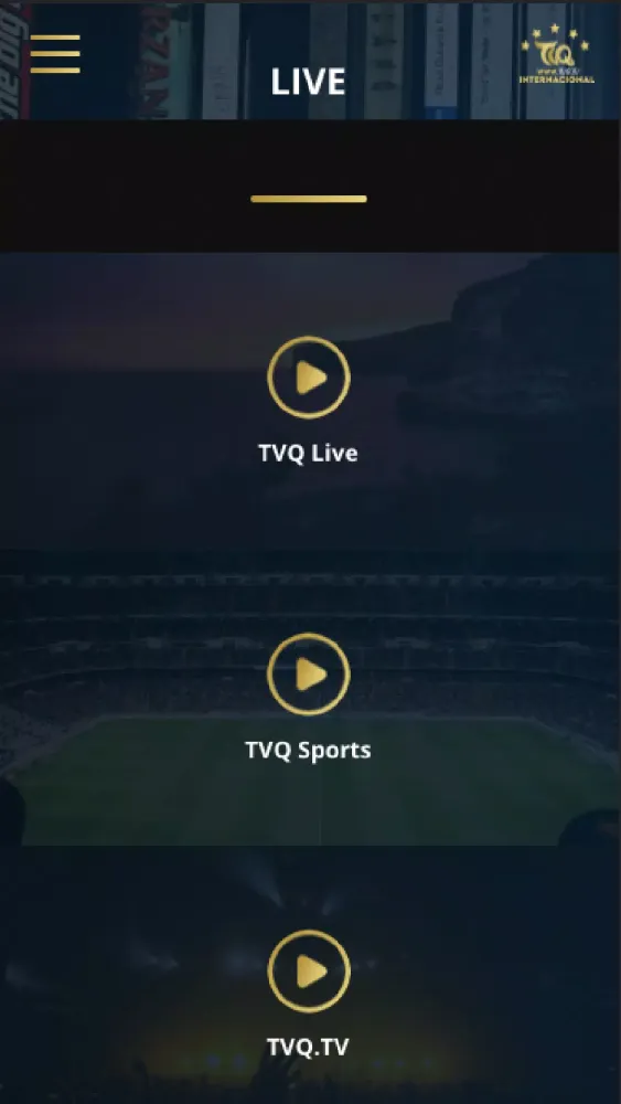 Скриншоты TVQ