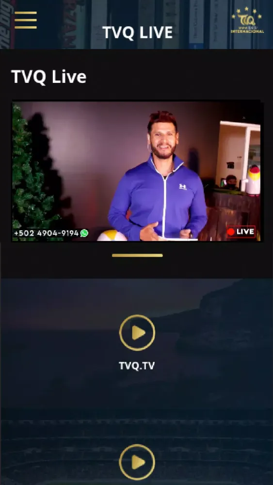 Скриншоты TVQ