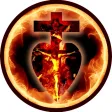 Sensus Fidelium App