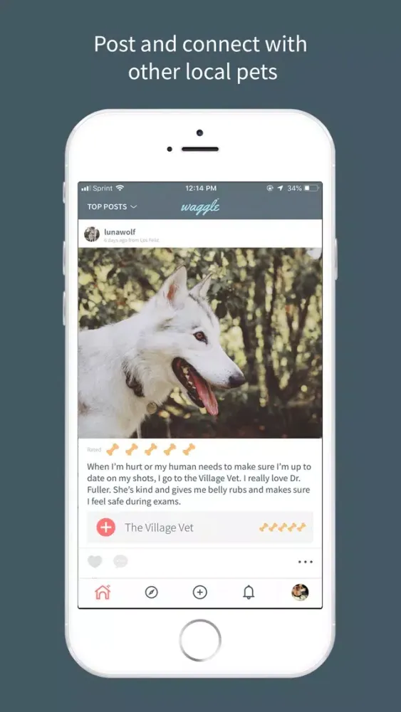 Скриншоты Waggle: Your Pet's World
