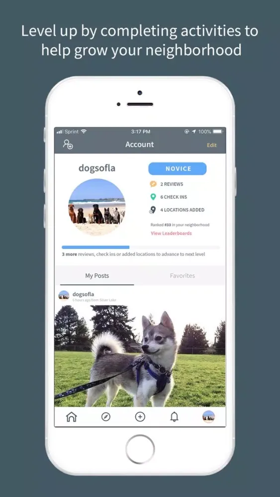 Скриншоты Waggle: Your Pet's World