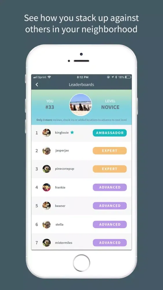Скриншоты Waggle: Your Pet's World