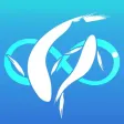 卸魚聲明書電子化填報系統