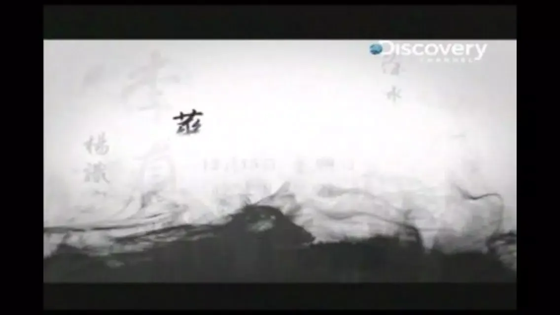 3G Mobile TV for Non-P2P PAI應用截圖