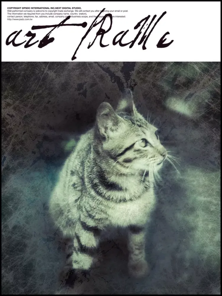 Art Splash 360 - camera effects plus photo editor iPad  سکرین شاٹس
