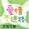 愛情不迷路在田尾
