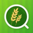 行動版現地申報查核輔助系統