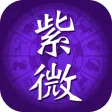 紫微斗數排盤 紫微斗數排盤
