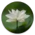 Heart Sutra