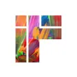 iFun小组件 iFun小组件