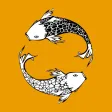 Инь Янь Суші